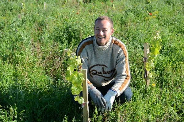 Marc-Olivier Bertrand : vigneron du Domaine Lacroix-Vanel